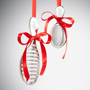 Festive Finish Speed Dry & Mini Detangler Gift Set - Silver