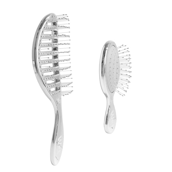 Festive Finish Speed Dry & Mini Detangler Gift Set - Silver